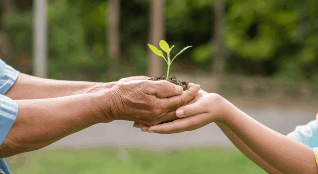Programa Bolsa Verde: o projeto que apoia o meio ambiente